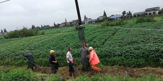 2b50d3e1ca37caa3601a33f72cb3701